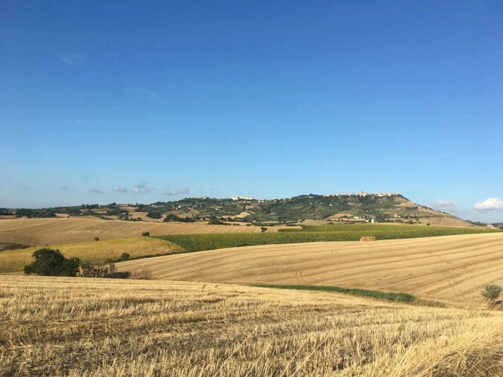 terreno agricolo in vendita a Guglionesi