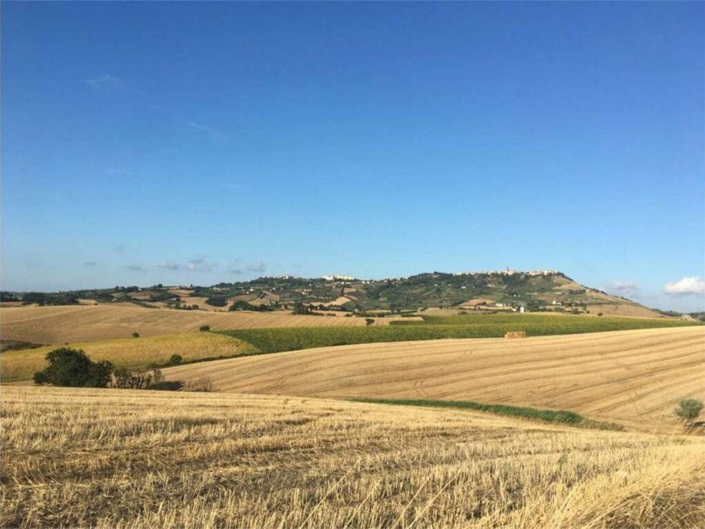 terreno agricolo in vendita a Guglionesi