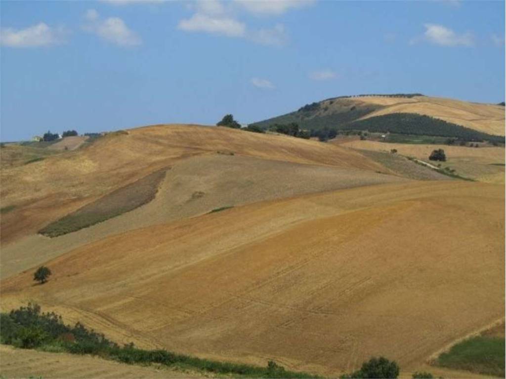 terreno agricolo in vendita a Guglionesi
