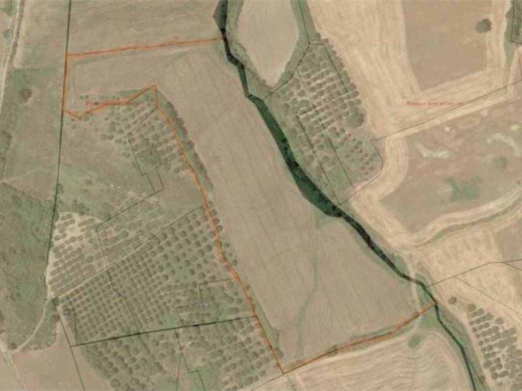 terreno agricolo in vendita a Guglionesi