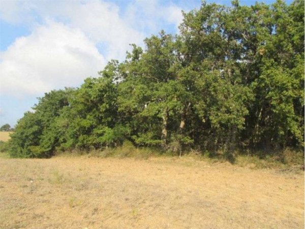 terreno agricolo in vendita a Guglionesi