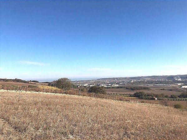 terreno agricolo in vendita a Guglionesi