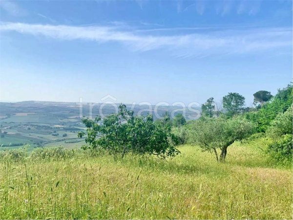 terreno agricolo in vendita a Guglionesi