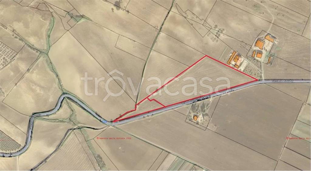 terreno agricolo in vendita a Guglionesi