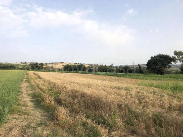 terreno agricolo in vendita a Guglionesi