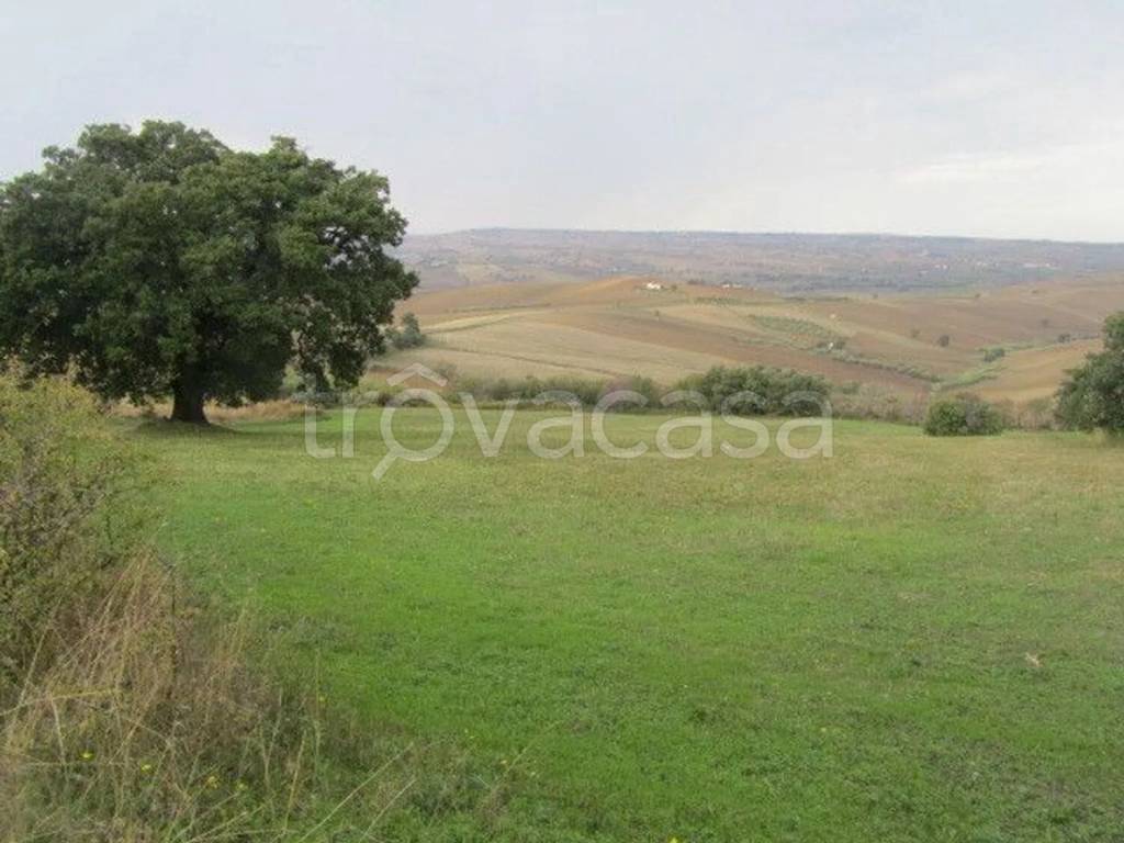 terreno agricolo in vendita a Guglionesi