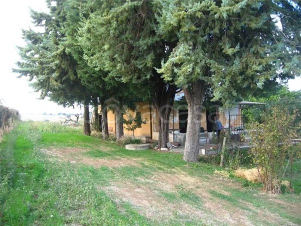 terreno agricolo in vendita a Guglionesi
