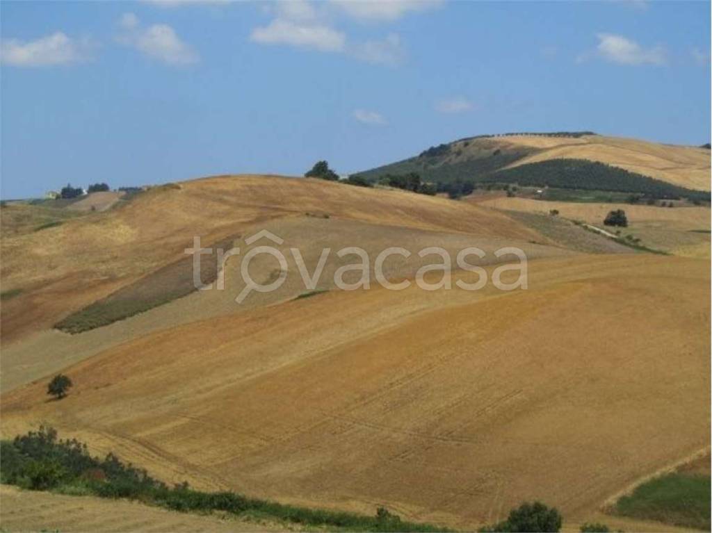 terreno agricolo in vendita a Guglionesi