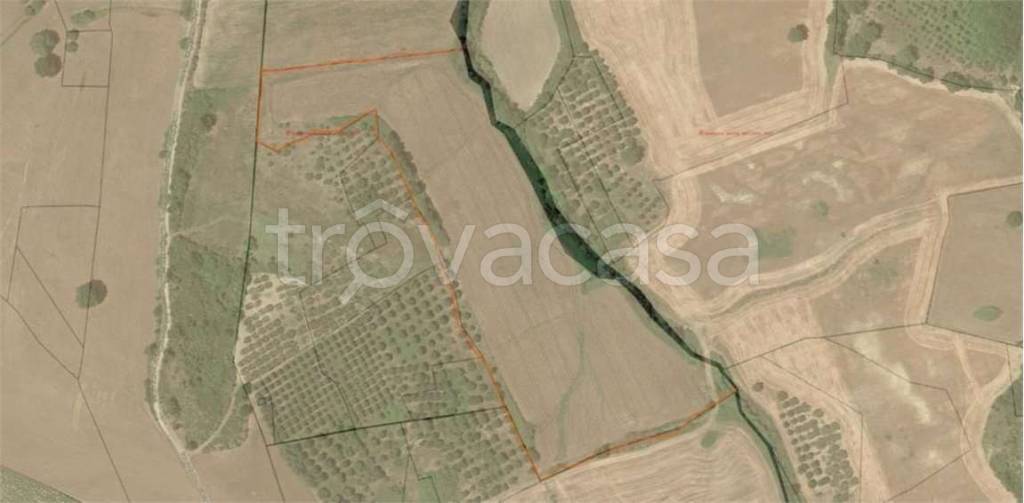 terreno agricolo in vendita a Guglionesi
