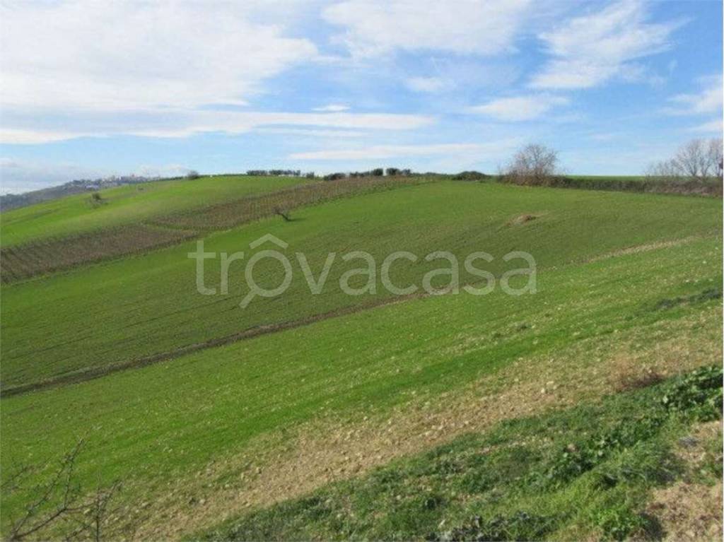 terreno agricolo in vendita a Guglionesi