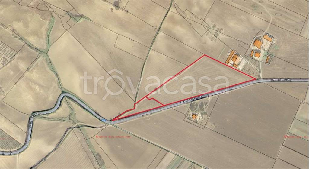 terreno agricolo in vendita a Guglionesi