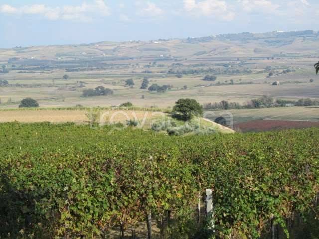 terreno agricolo in vendita a Guglionesi