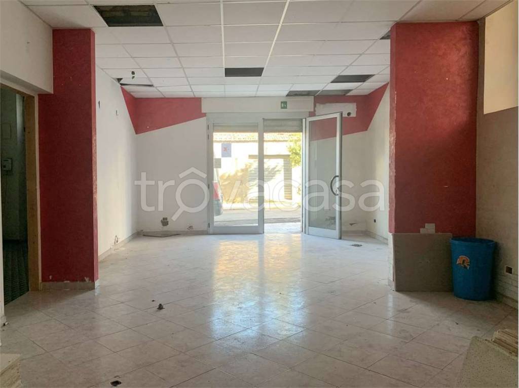 negozio in vendita a Guglionesi