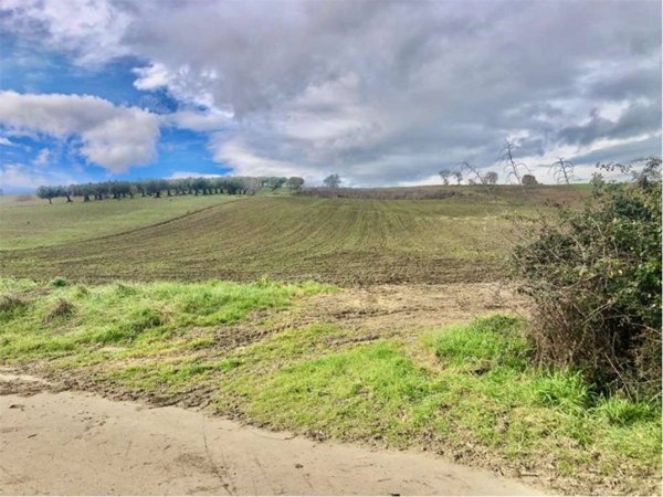 terreno agricolo in vendita a Guglionesi