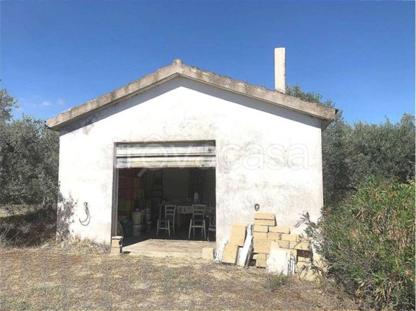 terreno agricolo in vendita a Guglionesi