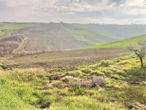 terreno agricolo in vendita a Guglionesi