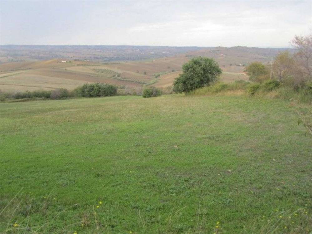 terreno agricolo in vendita a Guglionesi