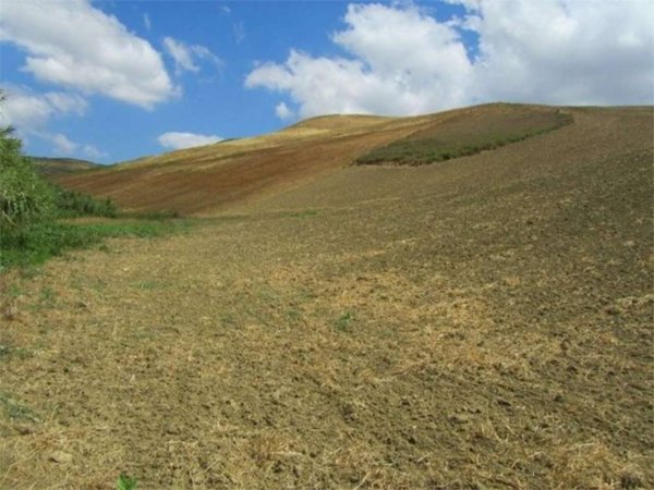 terreno agricolo in vendita a Guglionesi