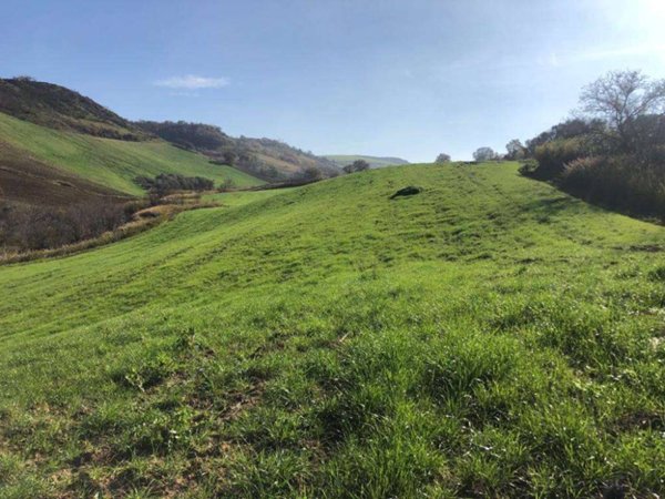 terreno agricolo in vendita a Guglionesi