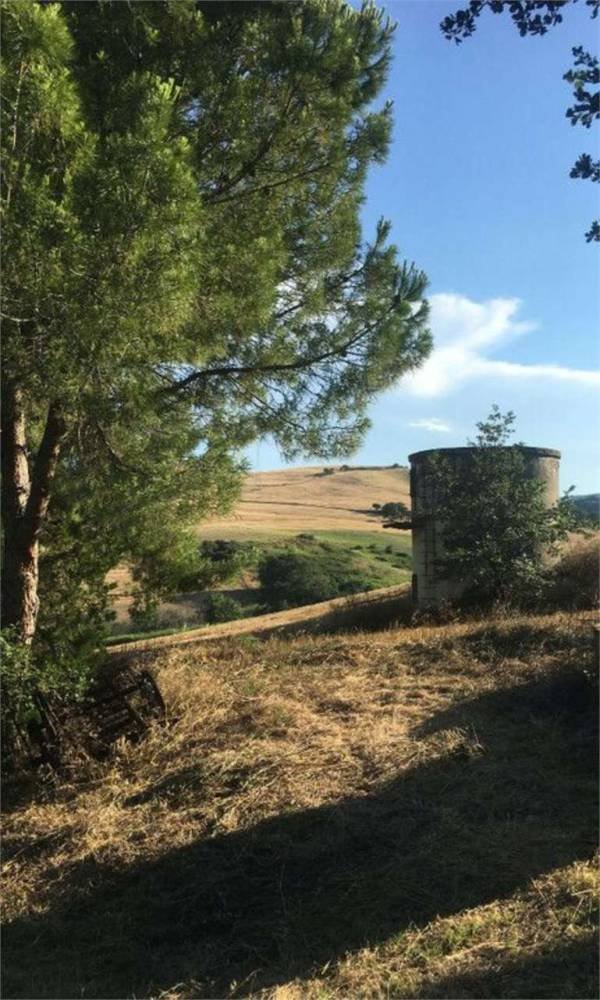 terreno agricolo in vendita a Guglionesi