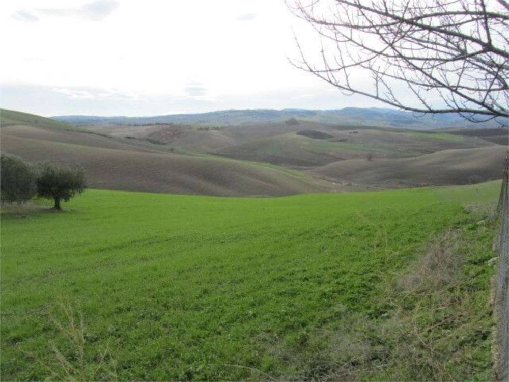 pentavano in vendita a Guglionesi