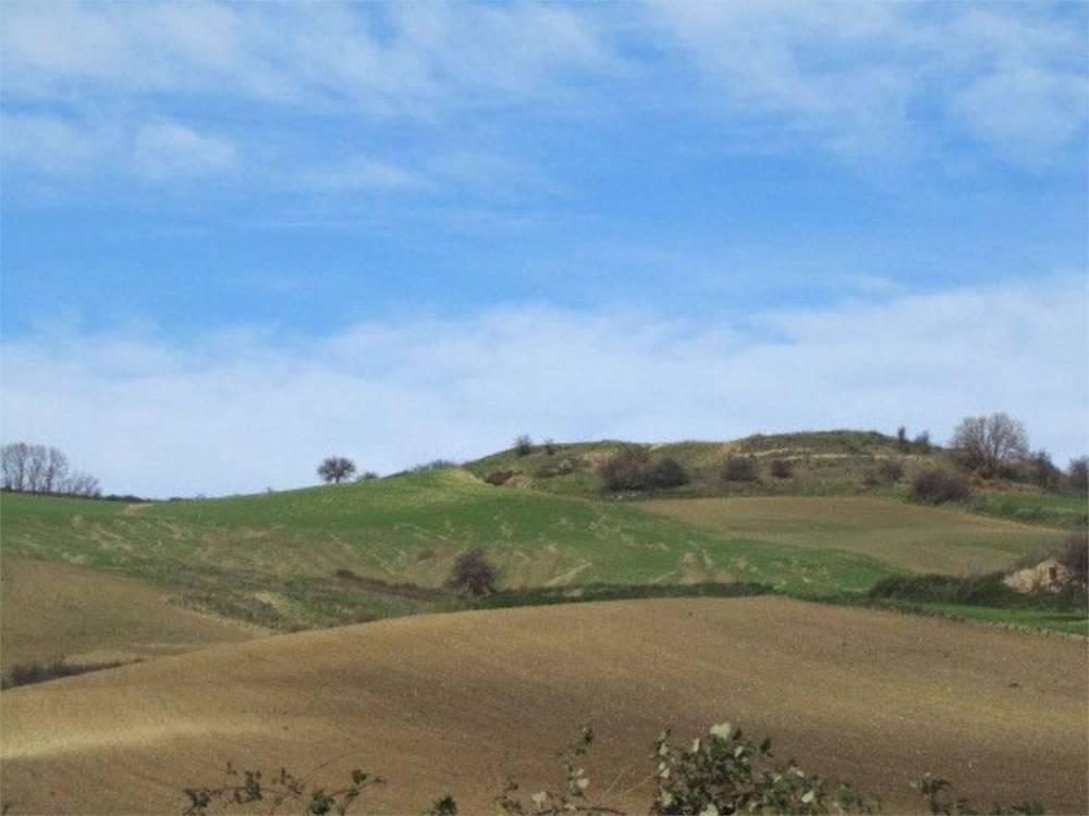 terreno agricolo in vendita a Guglionesi
