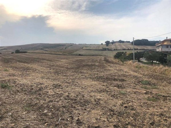terreno agricolo in vendita a Guglionesi