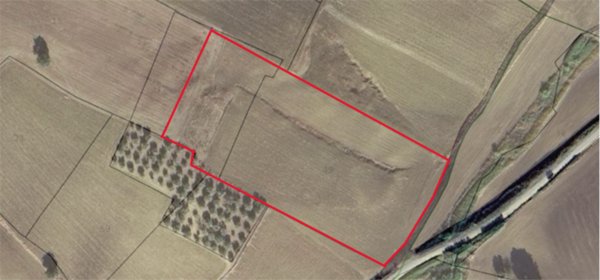 terreno agricolo in vendita a Guglionesi