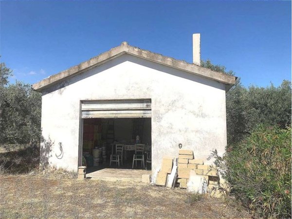 terreno agricolo in vendita a Guglionesi