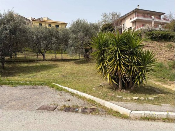 terreno agricolo in vendita a Guglionesi