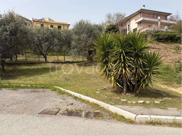 terreno agricolo in vendita a Guglionesi