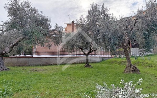 locale commerciale in vendita a Guglionesi