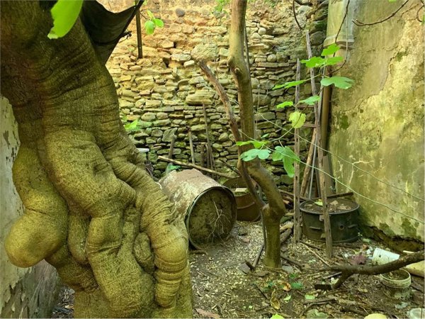 casa indipendente in vendita a Guglionesi