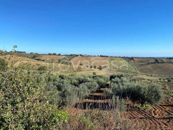 terreno agricolo in vendita a Guglionesi