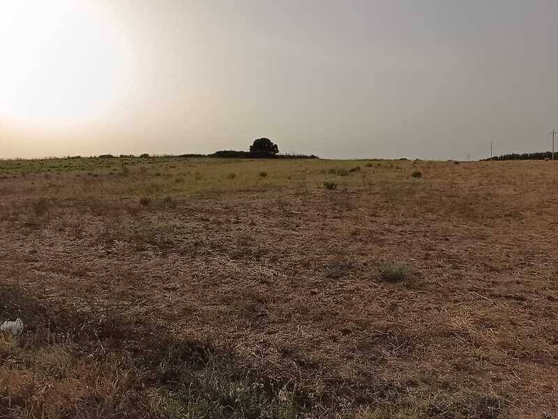terreno agricolo in vendita a Guglionesi