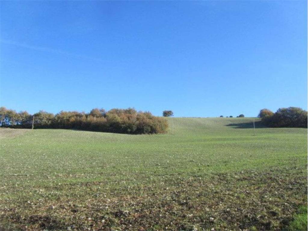 terreno agricolo in vendita a Larino