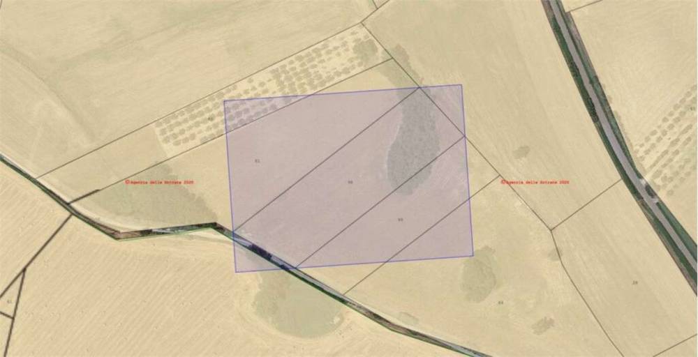 terreno agricolo in vendita a Larino