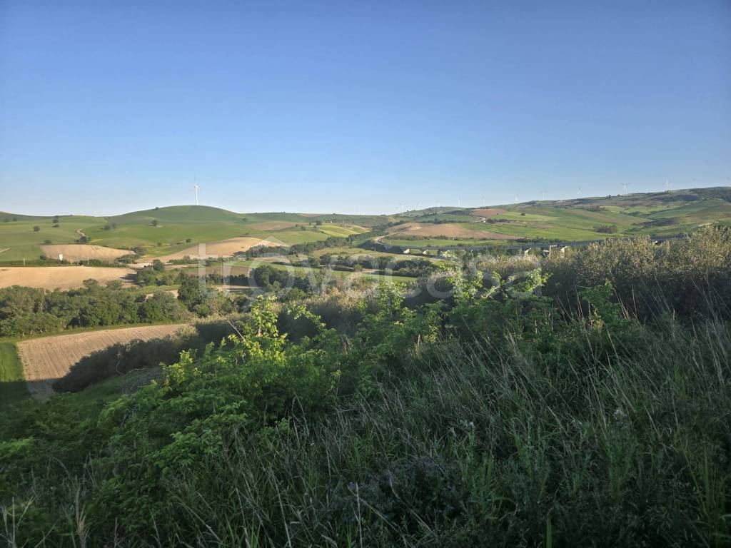 terreno agricolo in vendita a Larino