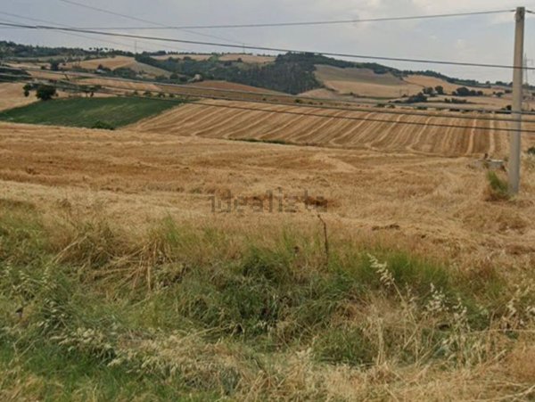 terreno agricolo in vendita a Larino