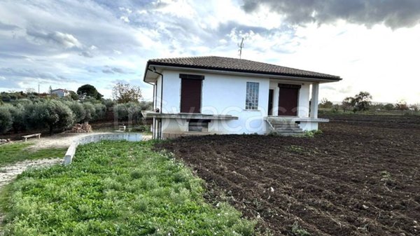 immagine annuncio 0 di 6