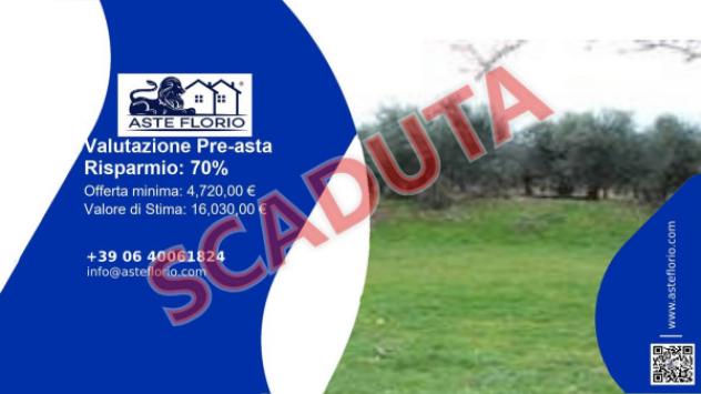 terreno agricolo in vendita a Larino