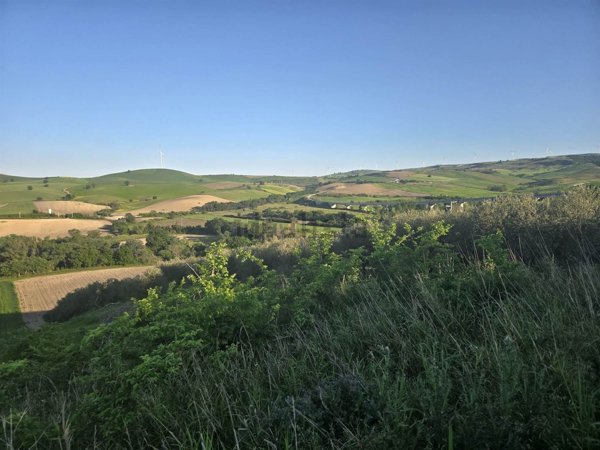terreno agricolo in vendita a Larino