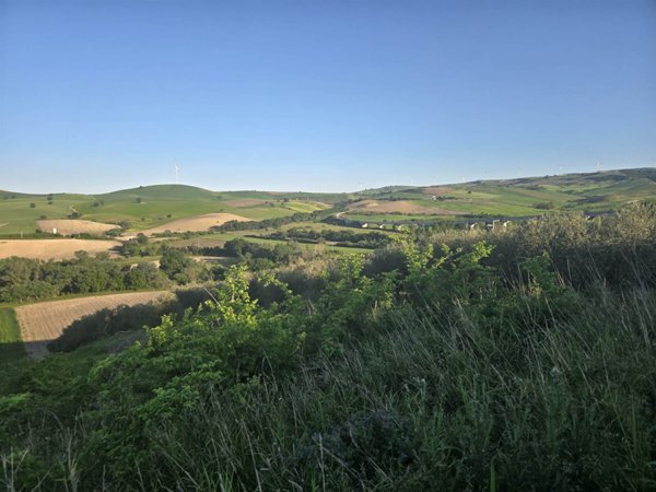 terreno agricolo in vendita a Larino