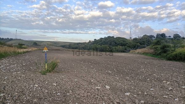 terreno in vendita a Larino