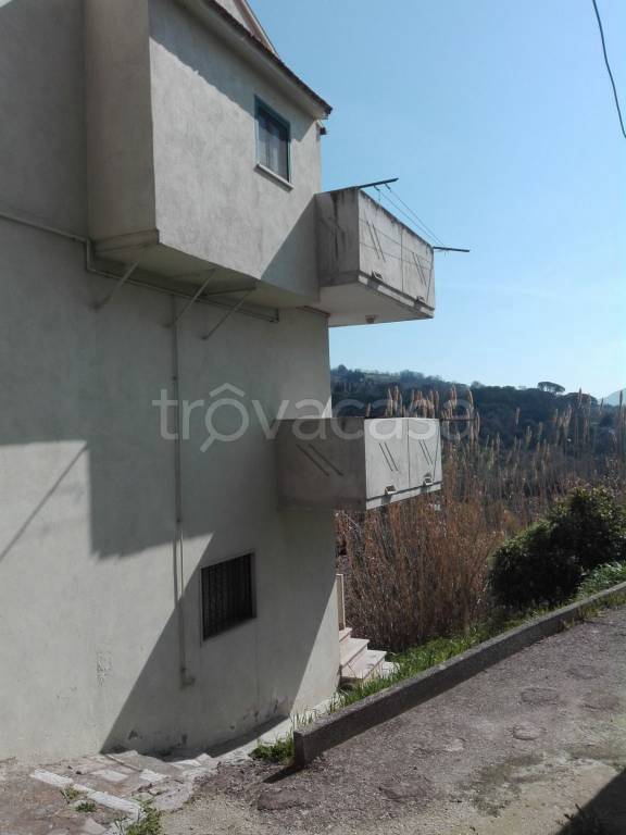 casa indipendente in vendita a Lucito