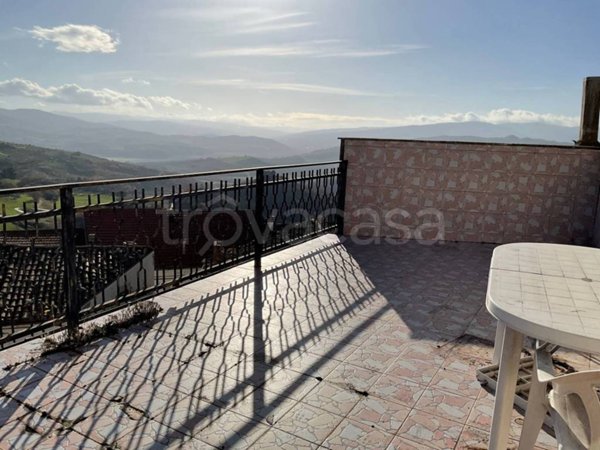 immagine annuncio 0 di 15