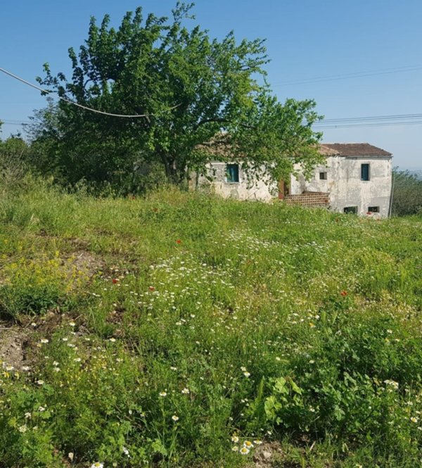 terreno agricolo in vendita a Mafalda
