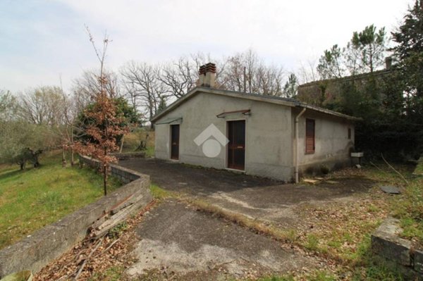 casa indipendente in vendita a Mirabello Sannitico