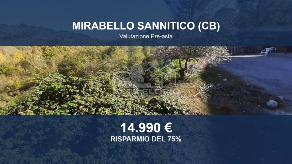 terreno agricolo in vendita a Mirabello Sannitico