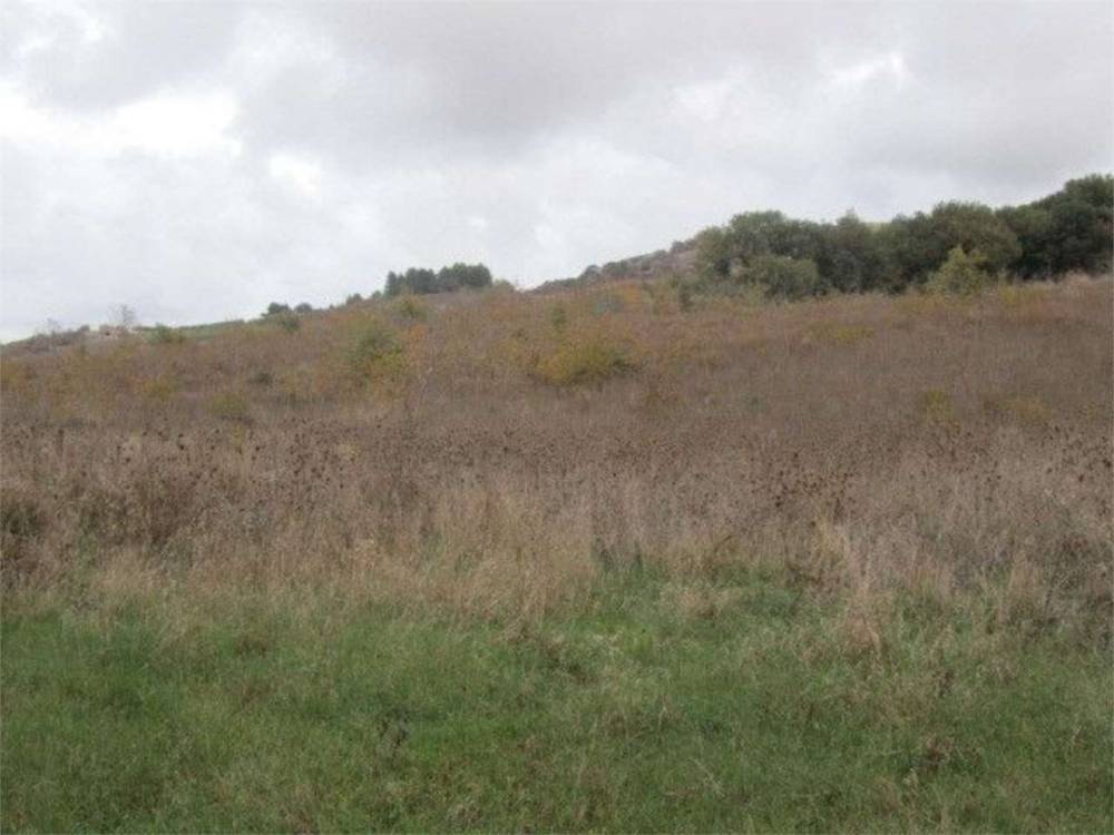 terreno agricolo in vendita a Montecilfone